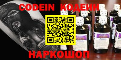 индика Камышлов