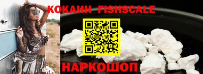 индика Камышлов