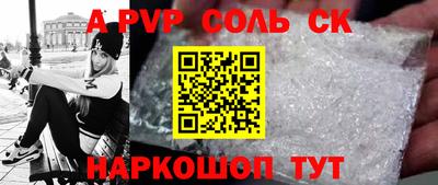 индика Камышлов