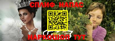 индика Камышлов