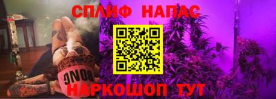 индика Камышлов