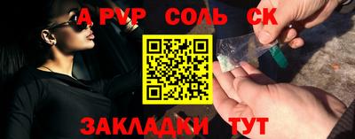 индика Камышлов