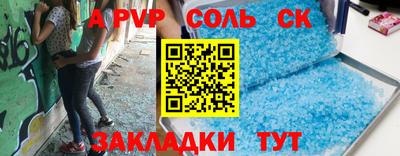 индика Камышлов