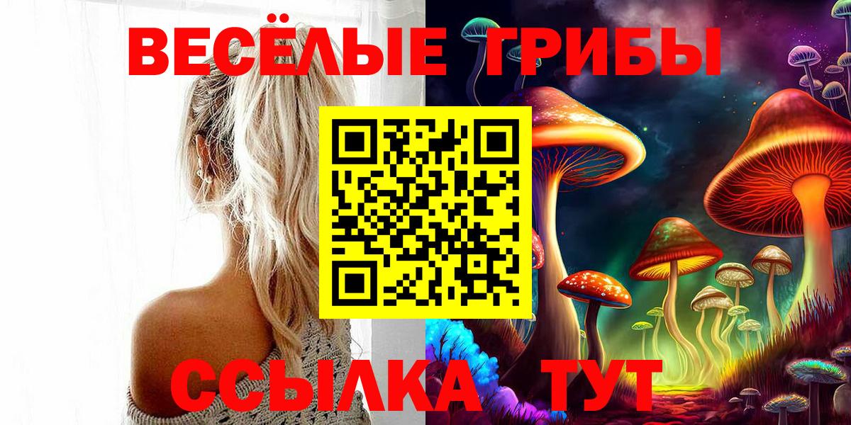 Галлюциногенные грибы Psilocybine cubensis  Вход с VPN  Крымск  Псилоцибиновые грибы Cubensis 