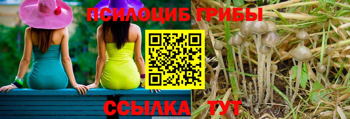 Галлюциногенные грибы GOLDEN TEACHER Крымск